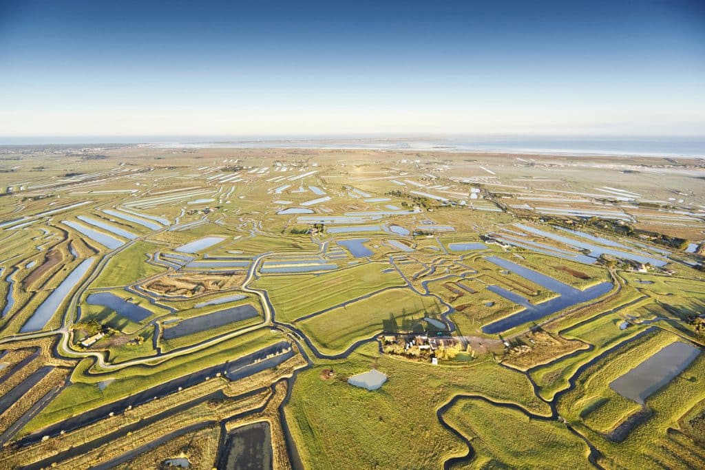 Vue aérienne du marais breton vendeen