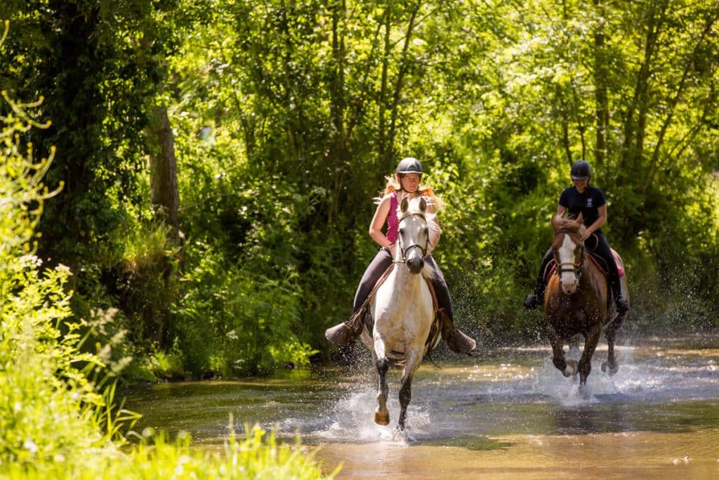 Equitation