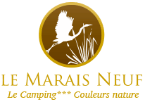 logo main