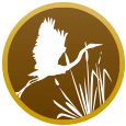 logo main