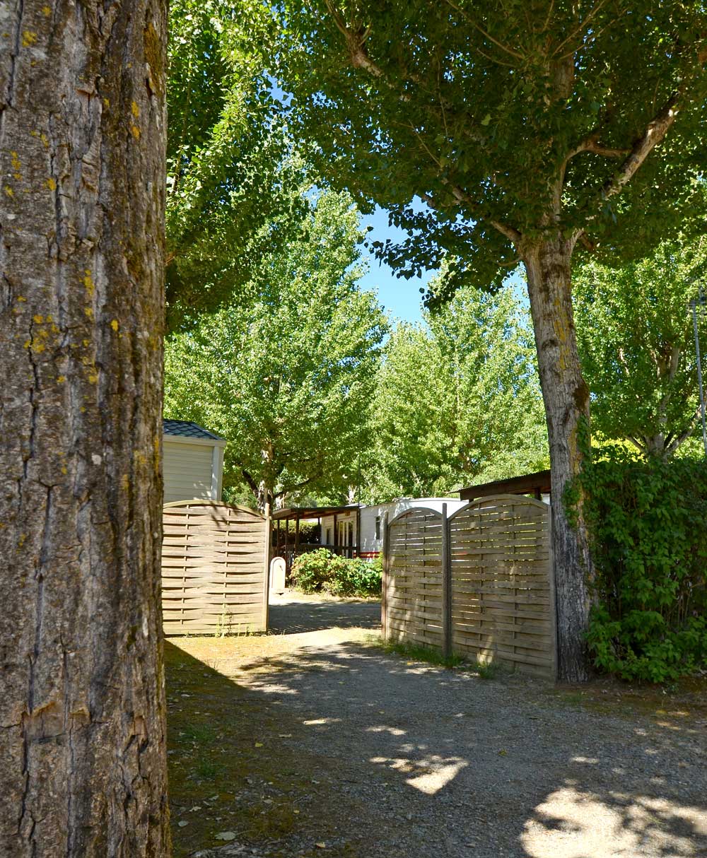 Un camping nature sur la côte Vendéenne