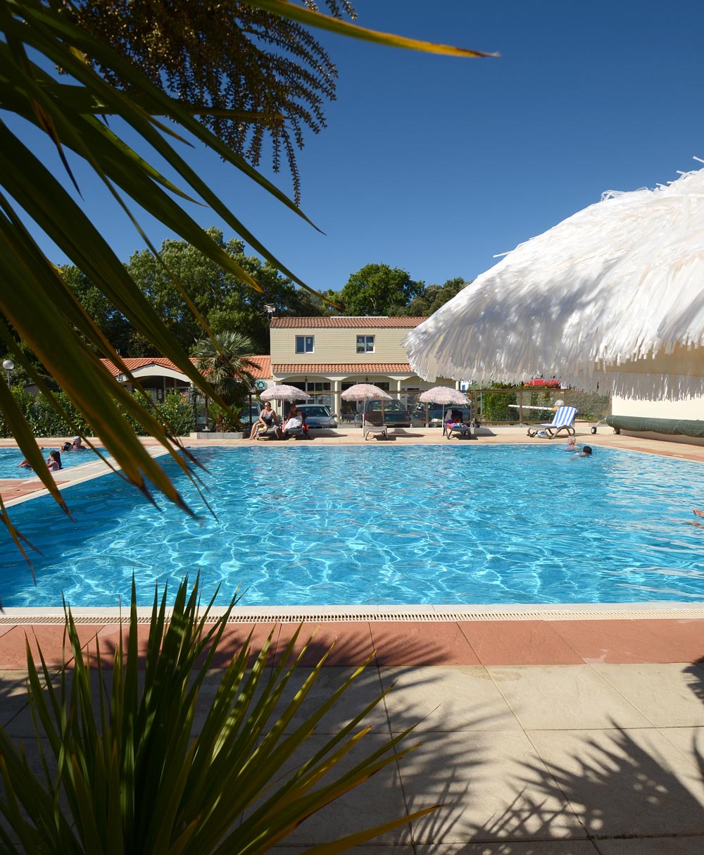Piscine de camping en Vendée avec palmiers